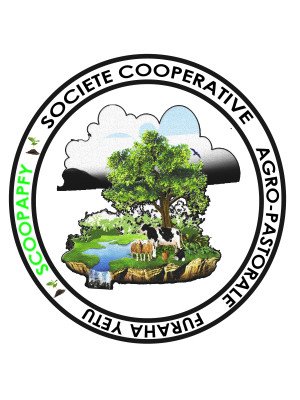 Samuel Balole, Scoopafy